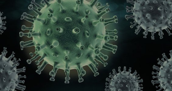 coronavirus